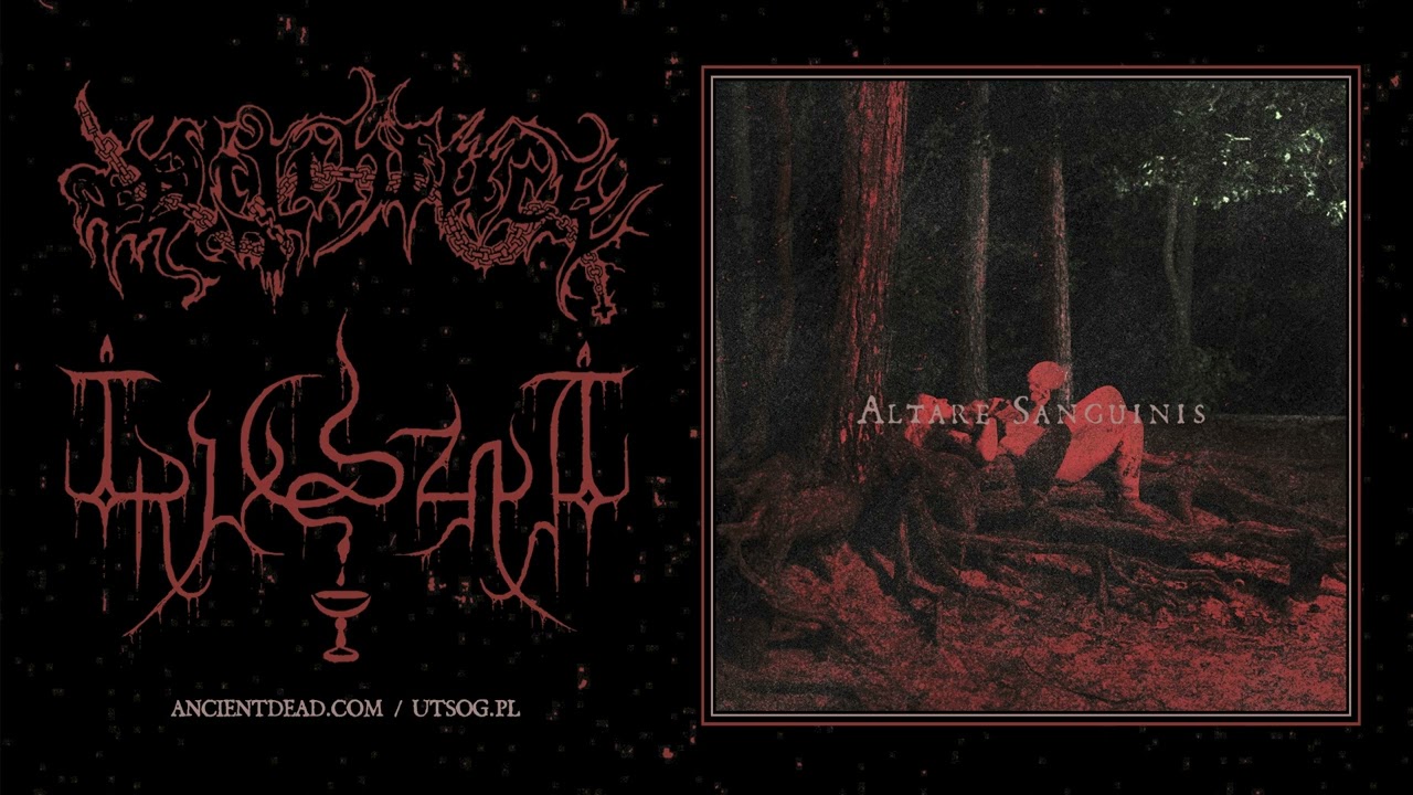 WITCHFUCK / TRUCIZNA - Altare Sanguinis (full split)
