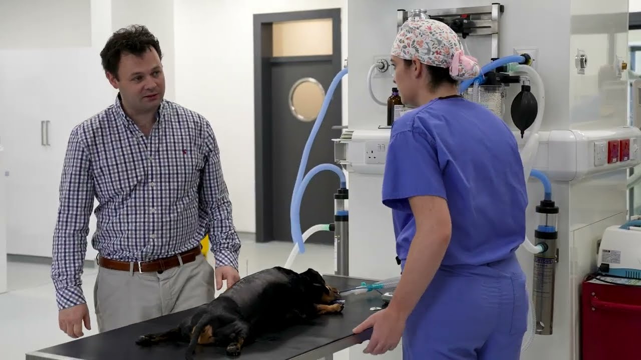 What is a Specialist Surgeon?