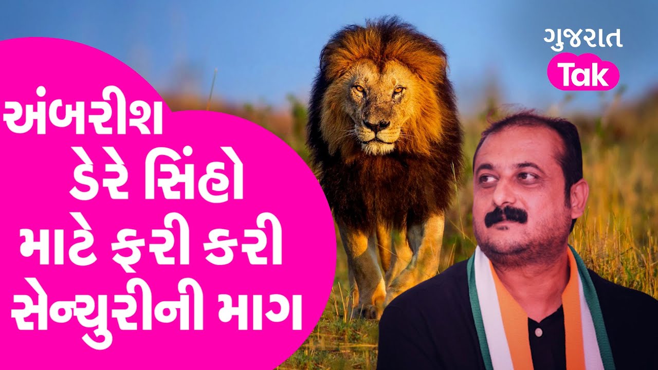 Gujarat Politics: MLA Ambrish Der એ સિંહો માટે ફરી કરી સેન્ચુરીની માગ | Amreli | Gujarat Tak