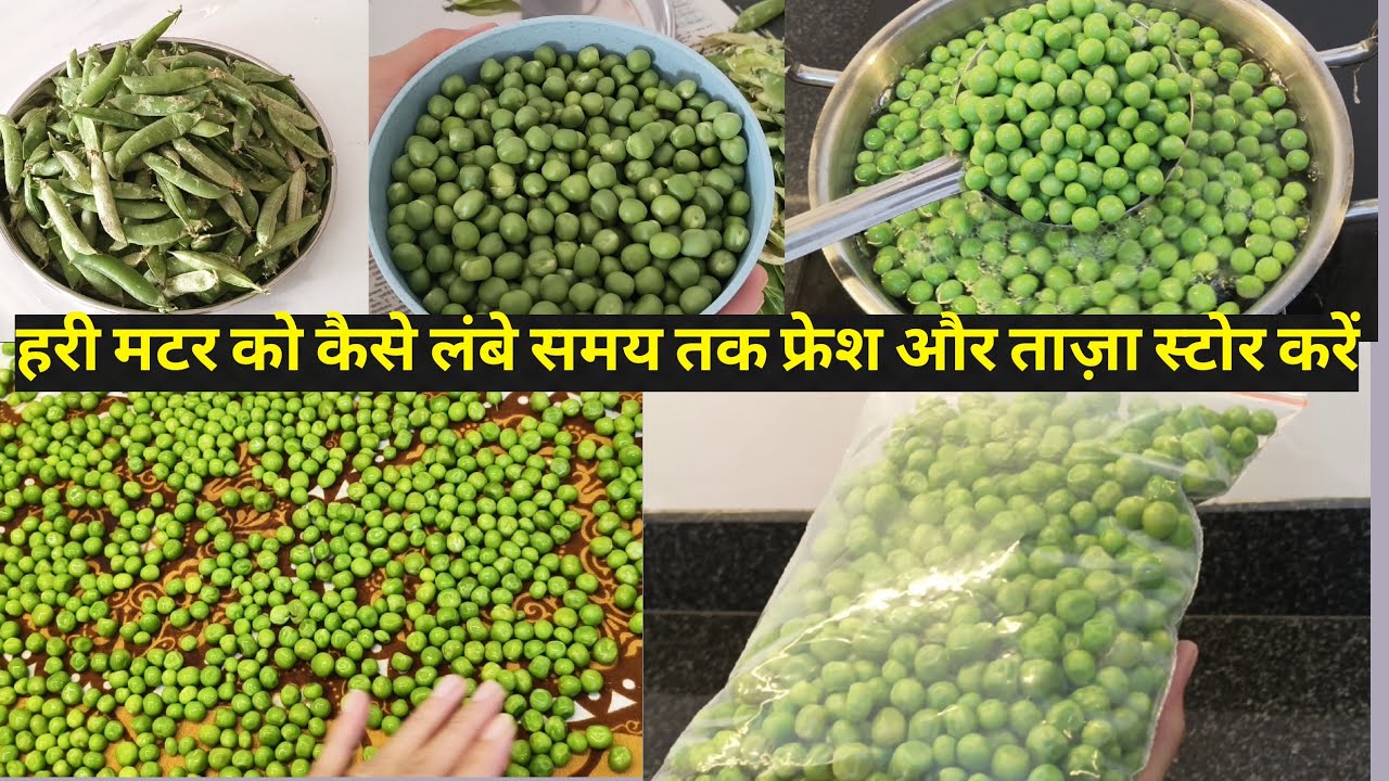 How to Store Green Peas for 1 Year | Matar Store Karne Ka Sabse Aasan Tarika
