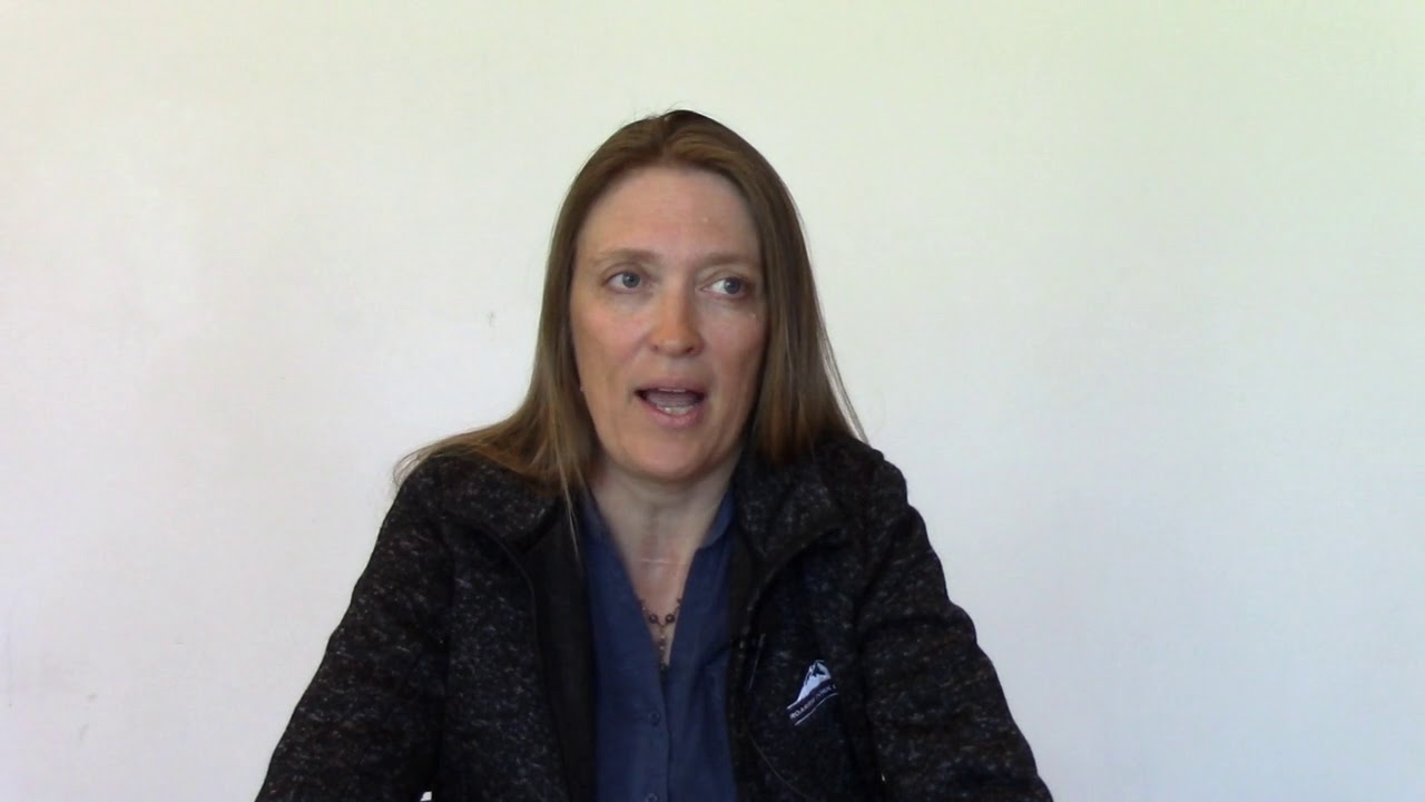 Assessment and Grading