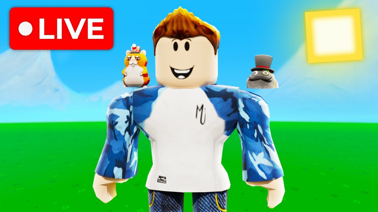 LIVE - ROBLOX Chill Stream