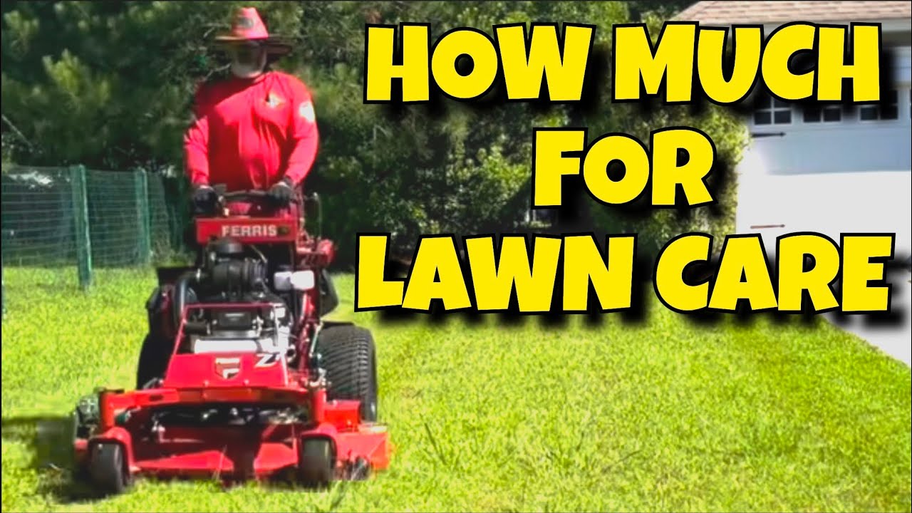 How much does LAWN CARE cost | What's the cost of LAWN MOWING