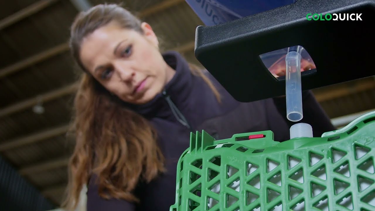 ColoQuick: How It Works. Optimized colostrum handling = healthier calves with full milk potential