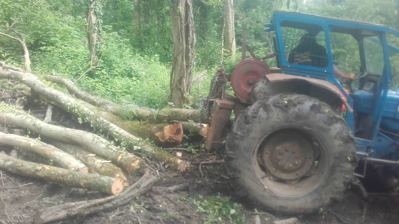 Skiding out timber