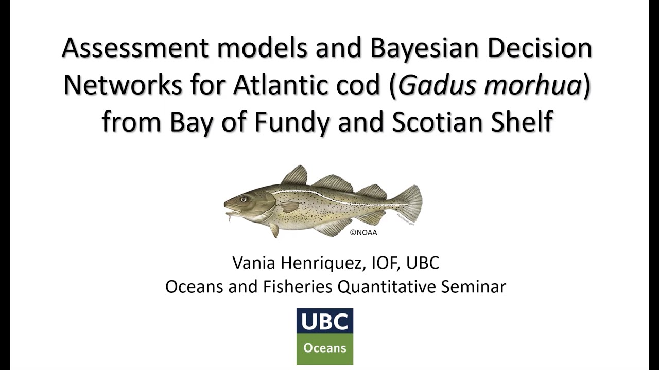 Assessment models and Bayesian Decision Networks for Atlantic cod from Bay of Fundy/Scotian Shelf