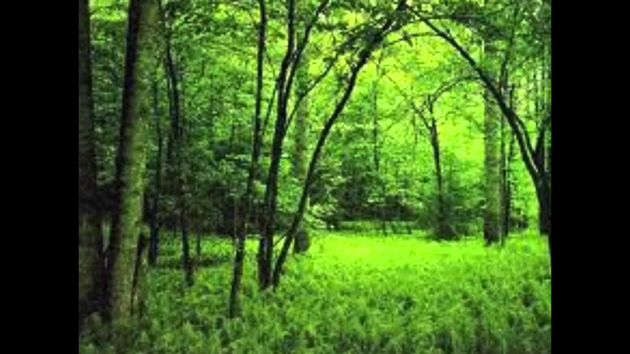MOZART- GREENSLEEVES