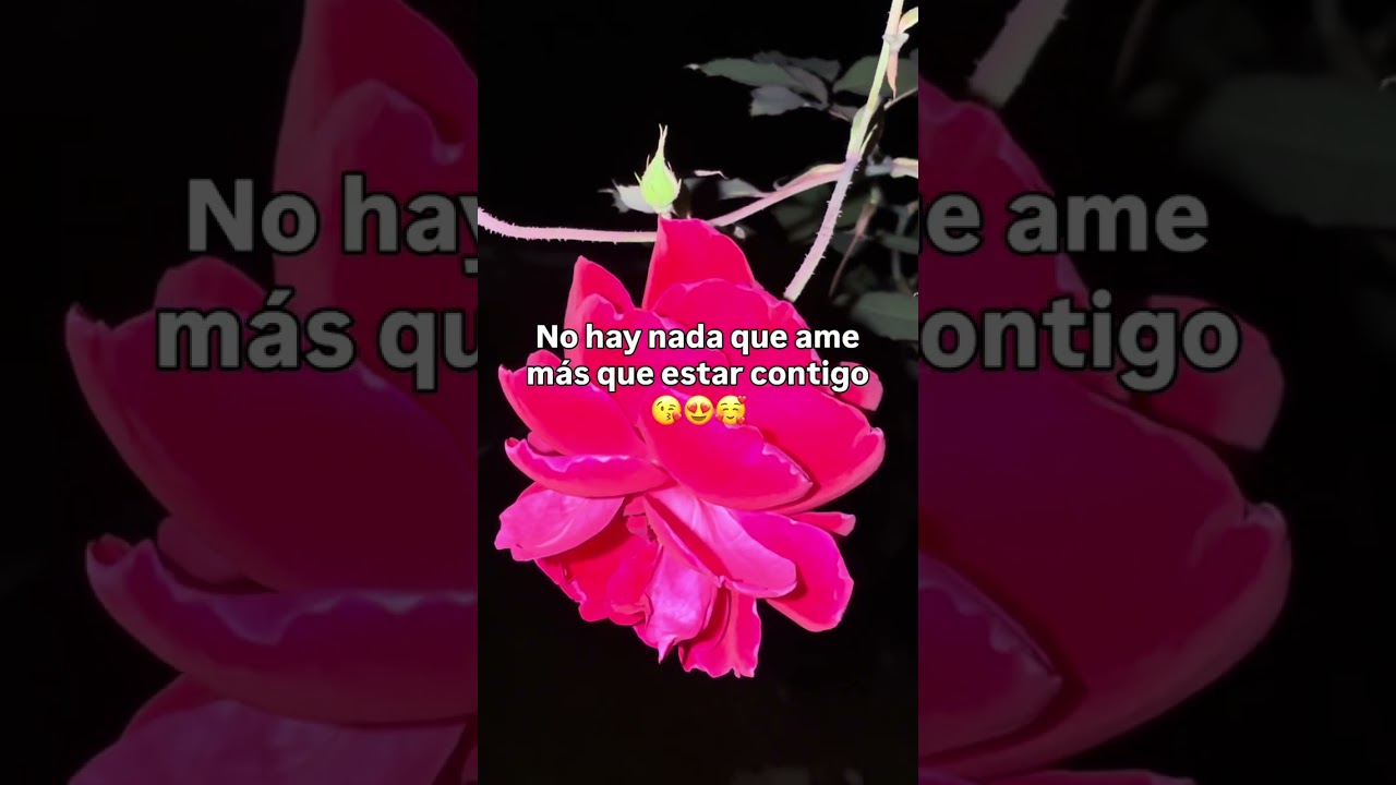Любовное письмо 💌