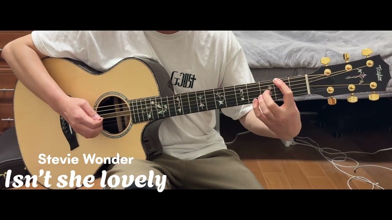 Isn't she lovely (cover)