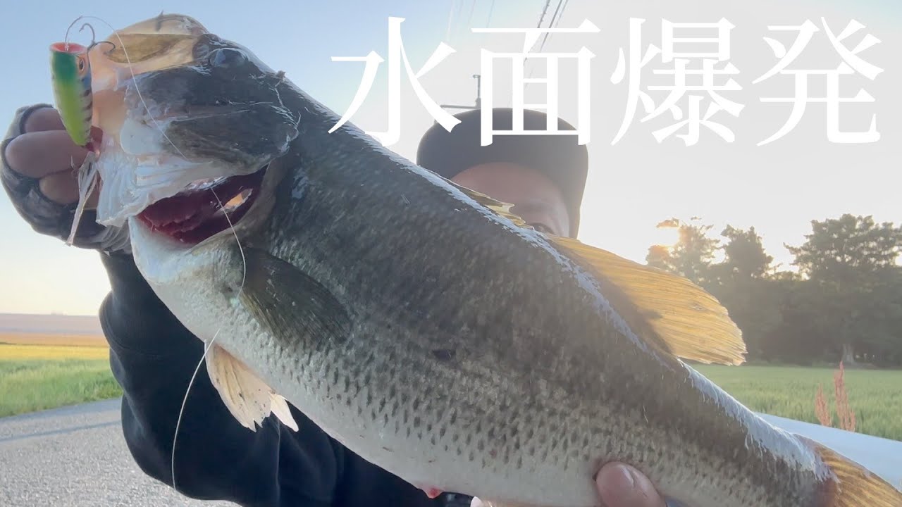 水面爆発でやば過ぎる！話題のスティーズポッパーで柳川クリーク無双！！【バス釣り】