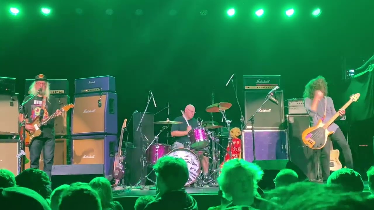 Dinosaur Jr. - “Raisans”