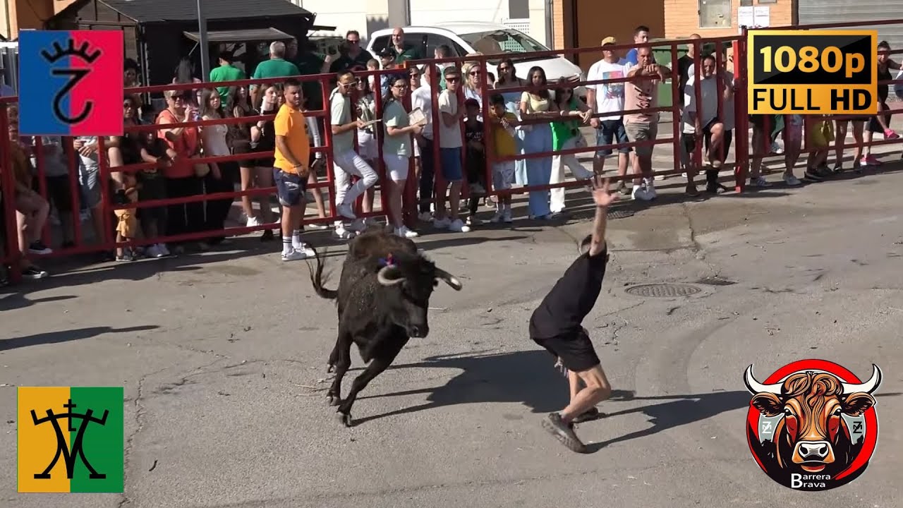 Épila. Vaca de Cajón y Suelta de Reses | 07/06/2025 | Ganad. Las Ventas