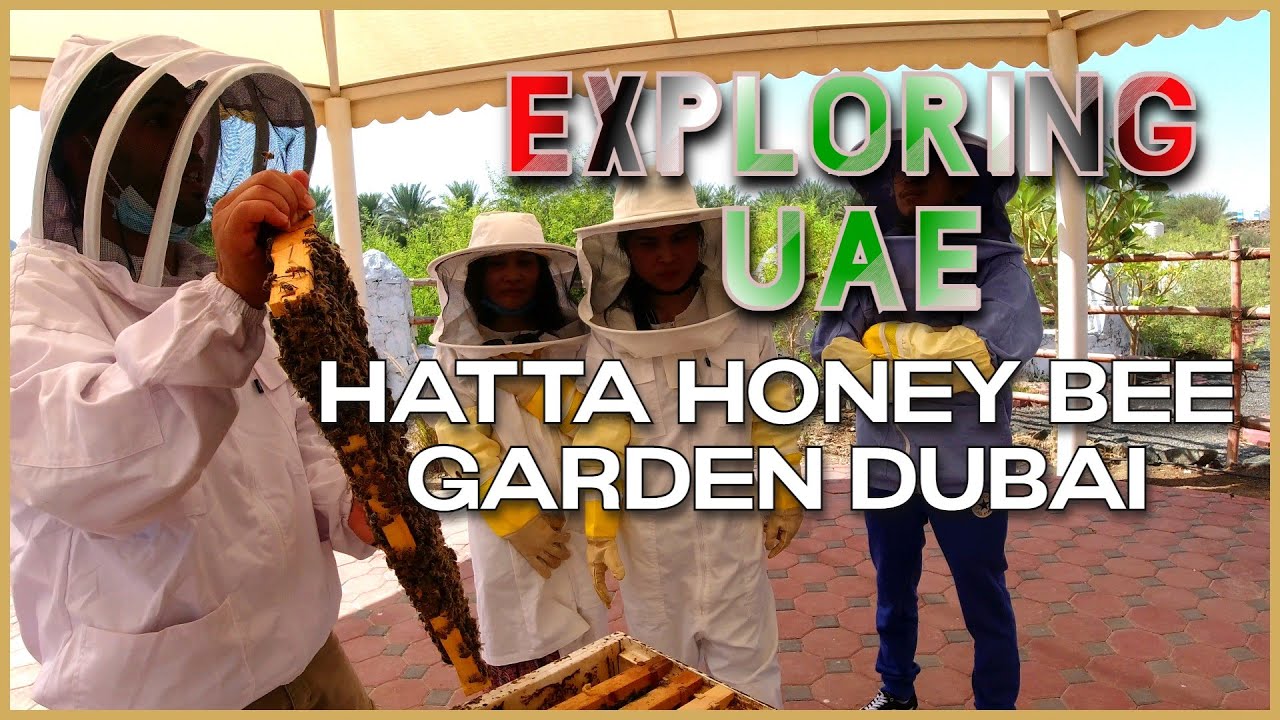YOU MUST KNOW BEFORE VISITING HATTA HONEY BEE GARDEN DUBAI 2022 |WHERE TO GO IN HATTA DUBAI |VLOG#12