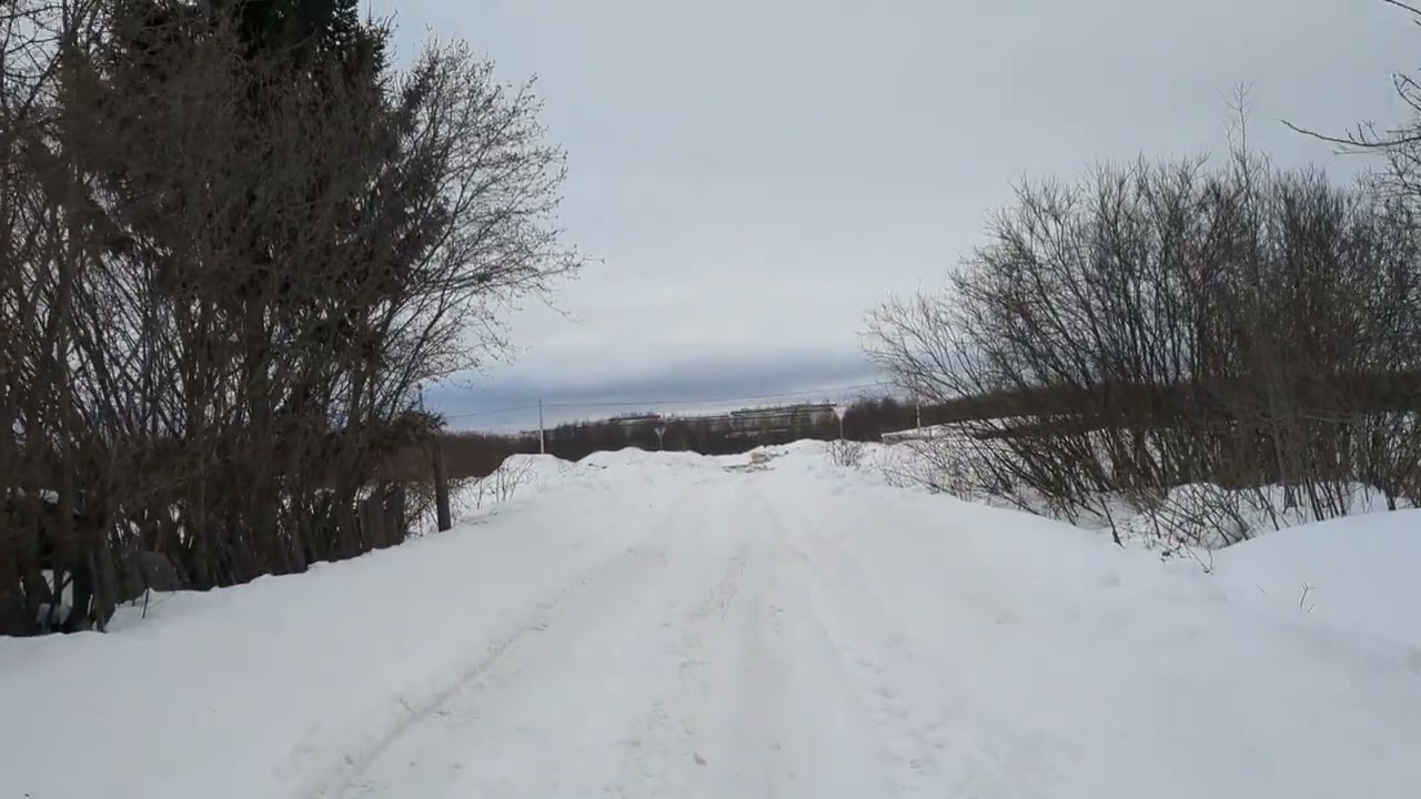 Сварила холодец и разругались в дребезги.