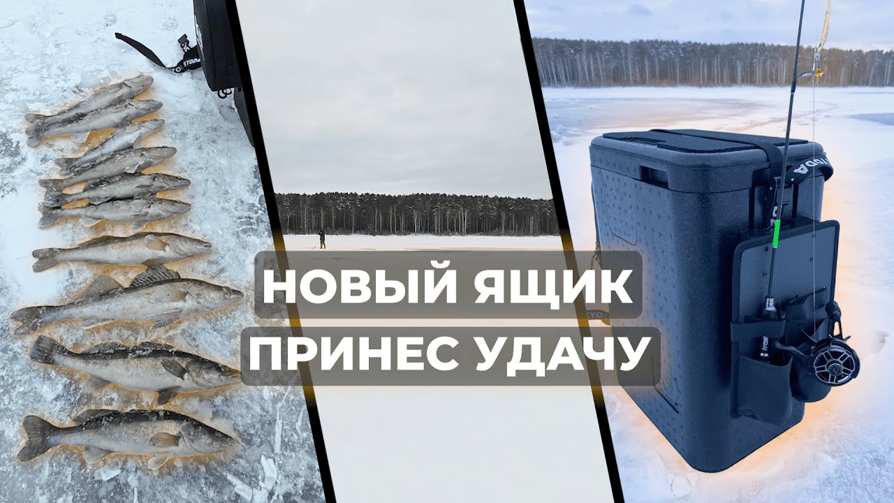 Зимняя рыбалка на судака. КУПИЛ ЛУЧШИЙ ЯЩИК ДЛЯ ЗИМНЕЙ РЫБАЛКИ