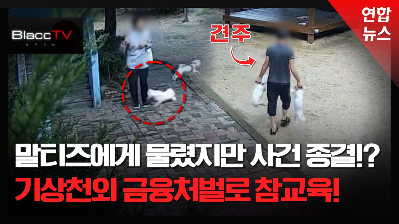 [BlaccTV] 소형견에 3번 물렸는데…CCTV‧진단서 있어도 경찰은 사건종결!? / 연합뉴스 (Yonhapnews)