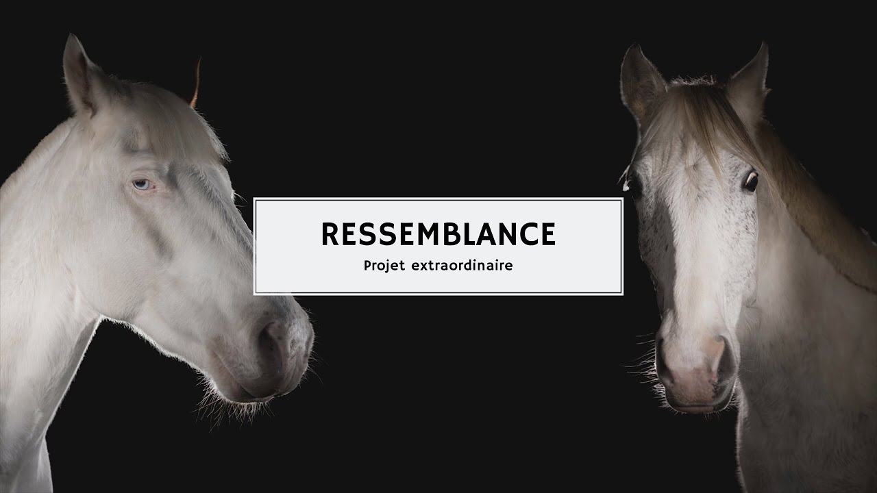 RESSEMBLANCE - projet extraordinaire