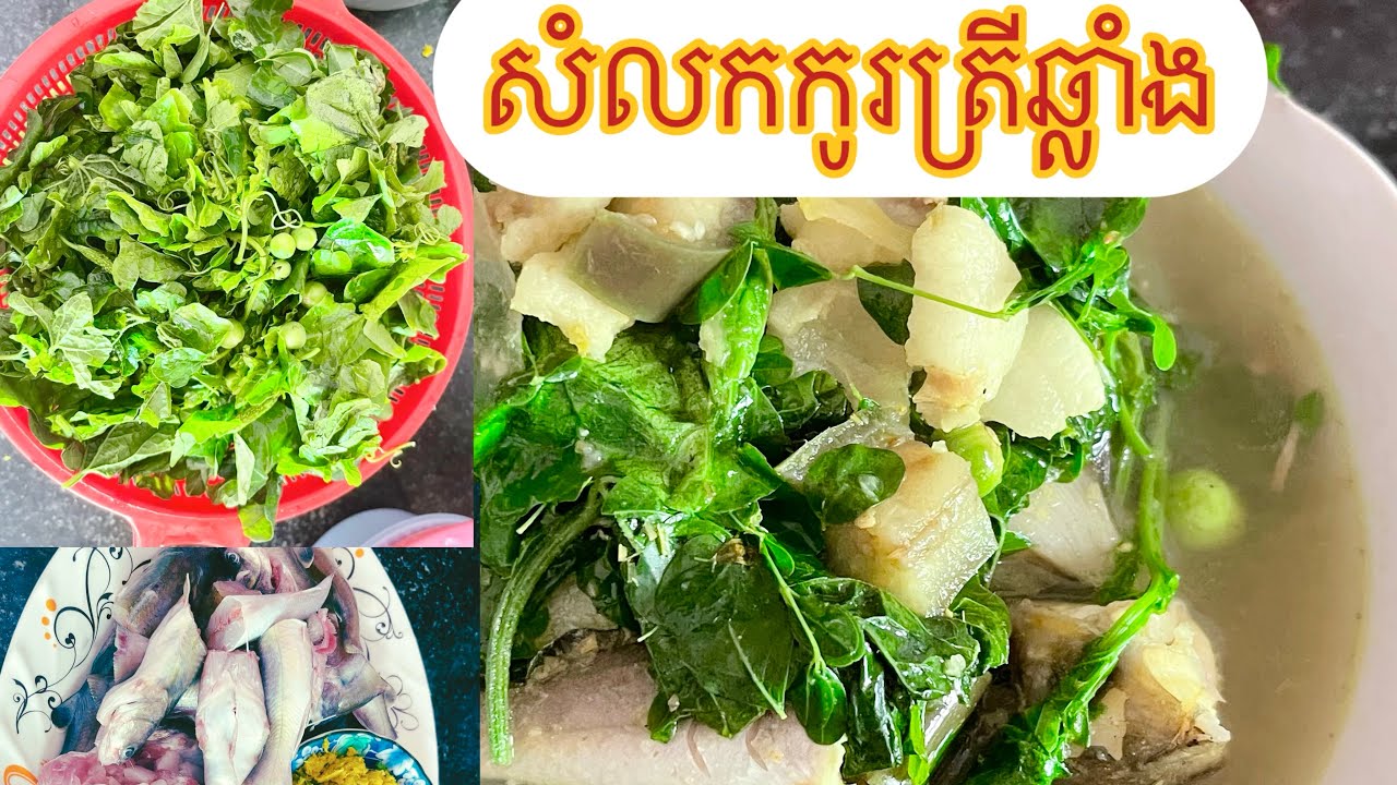 សំលកកូរត្រីឆ្លាំង