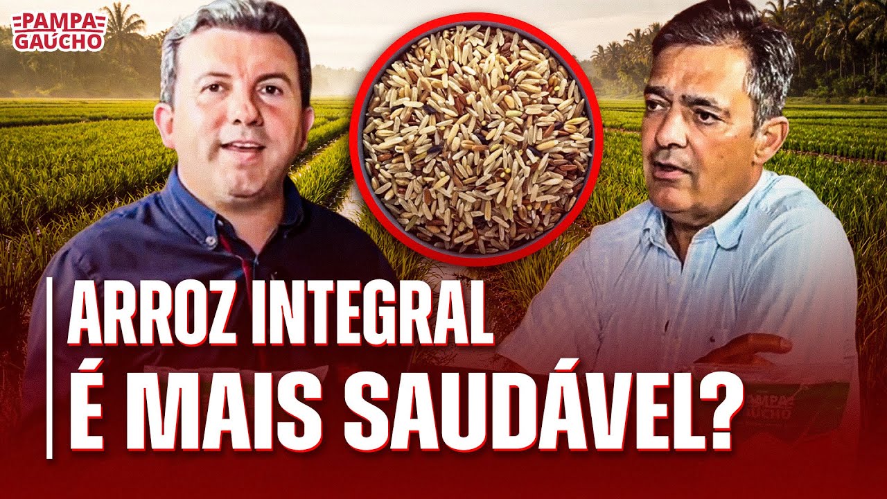 ARROZ INTEGRAL É MAIS SAUDÁVEL ?