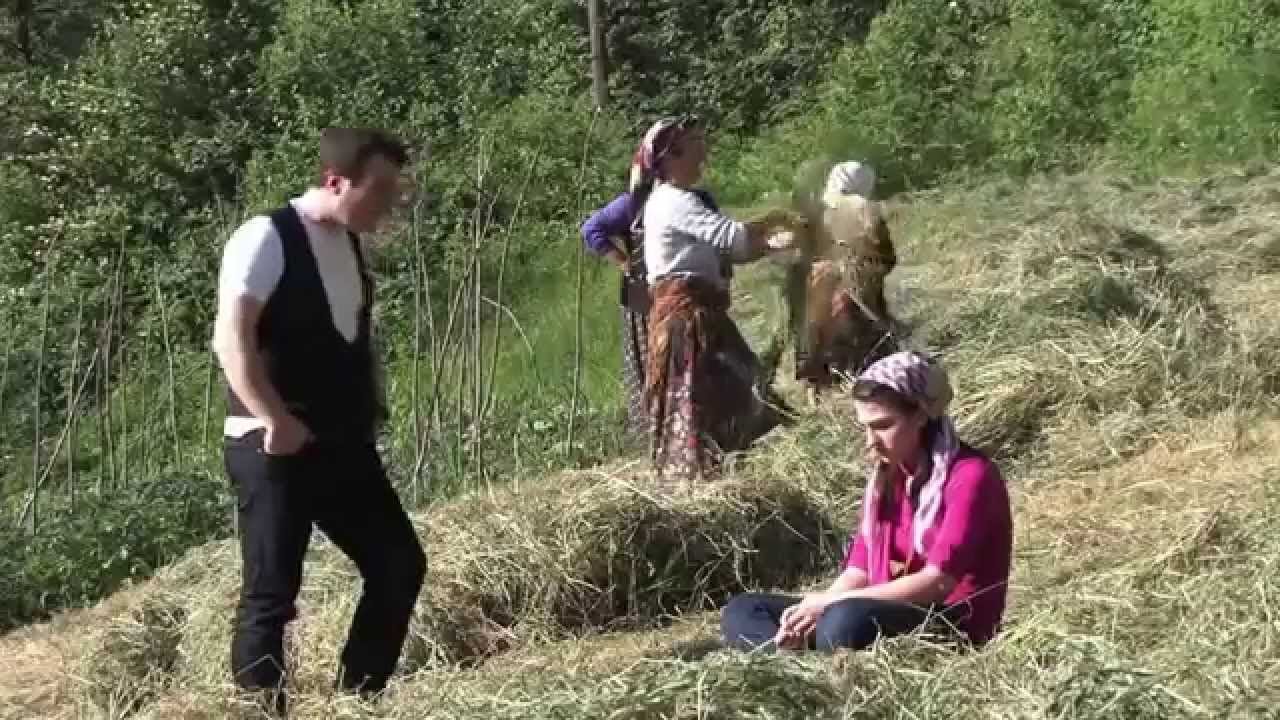 Onay Şahin - Tonyanın Agaçları
