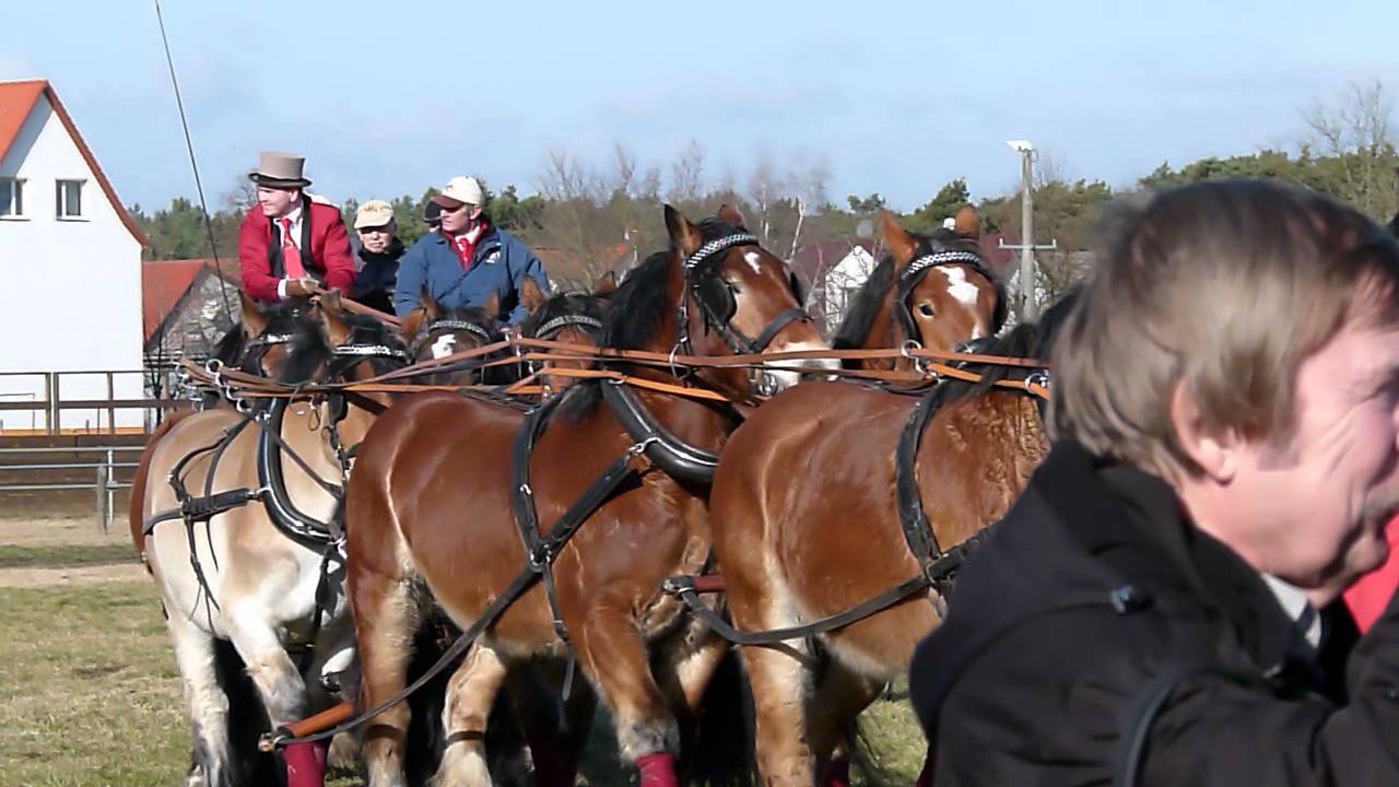 Pressefrühstück bei den Titanen der Rennbahn in Brück. Das Wernersgrüner Rappgespann