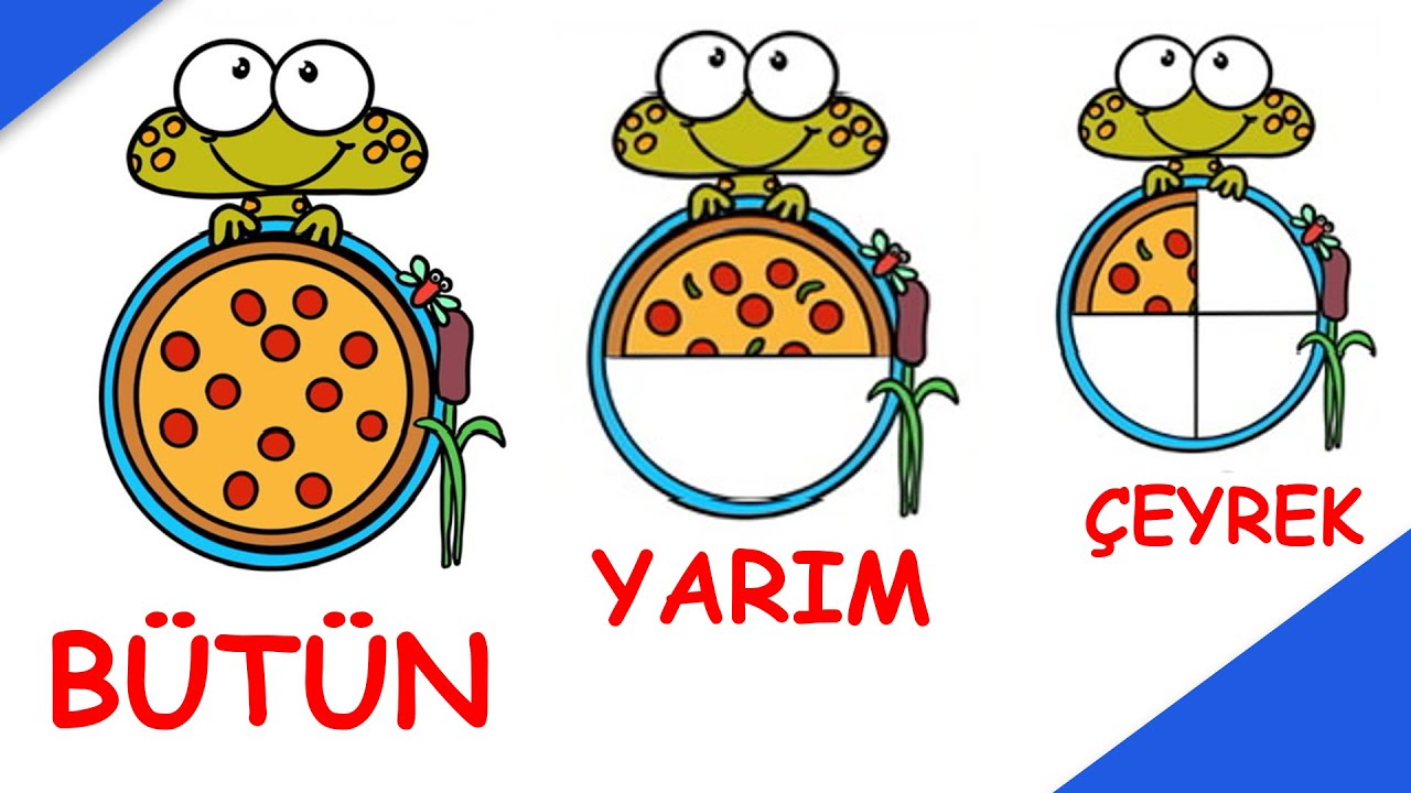 2.Sınıf Kesirler  Konu Anlatımı