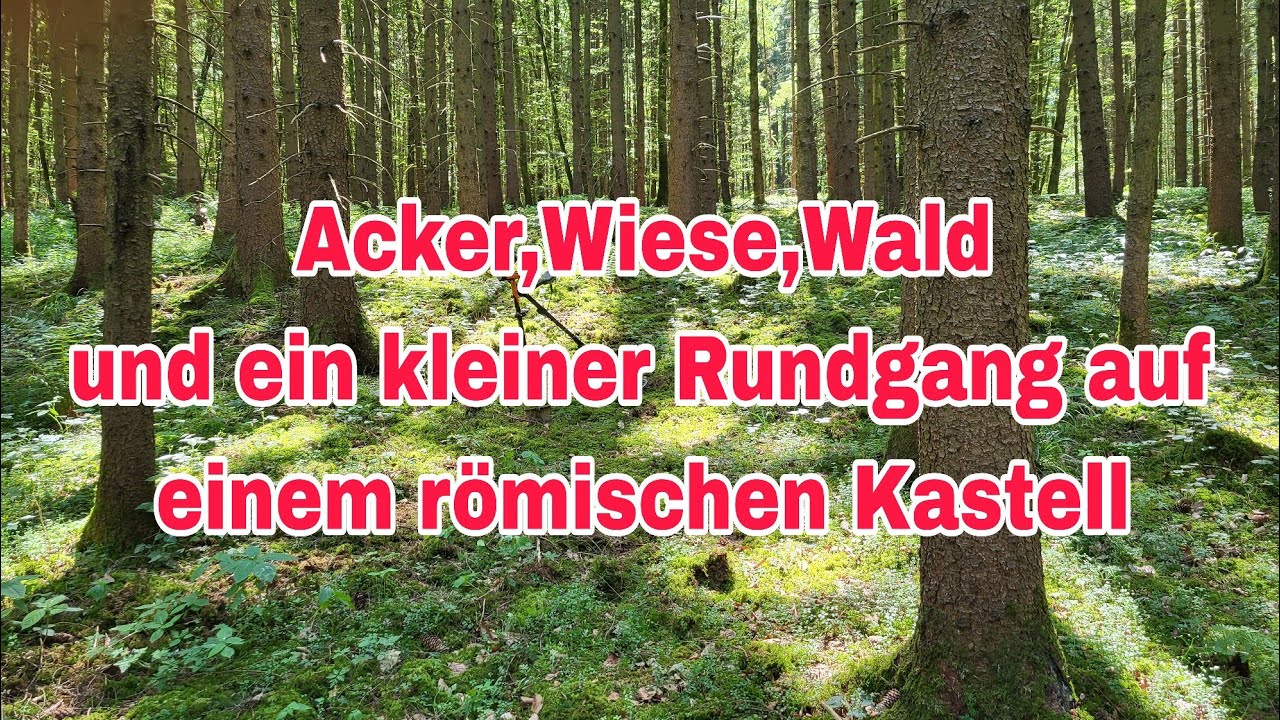 Acker,Wiese,Wald und kleiner Rundgang auf einem römischen Kastell