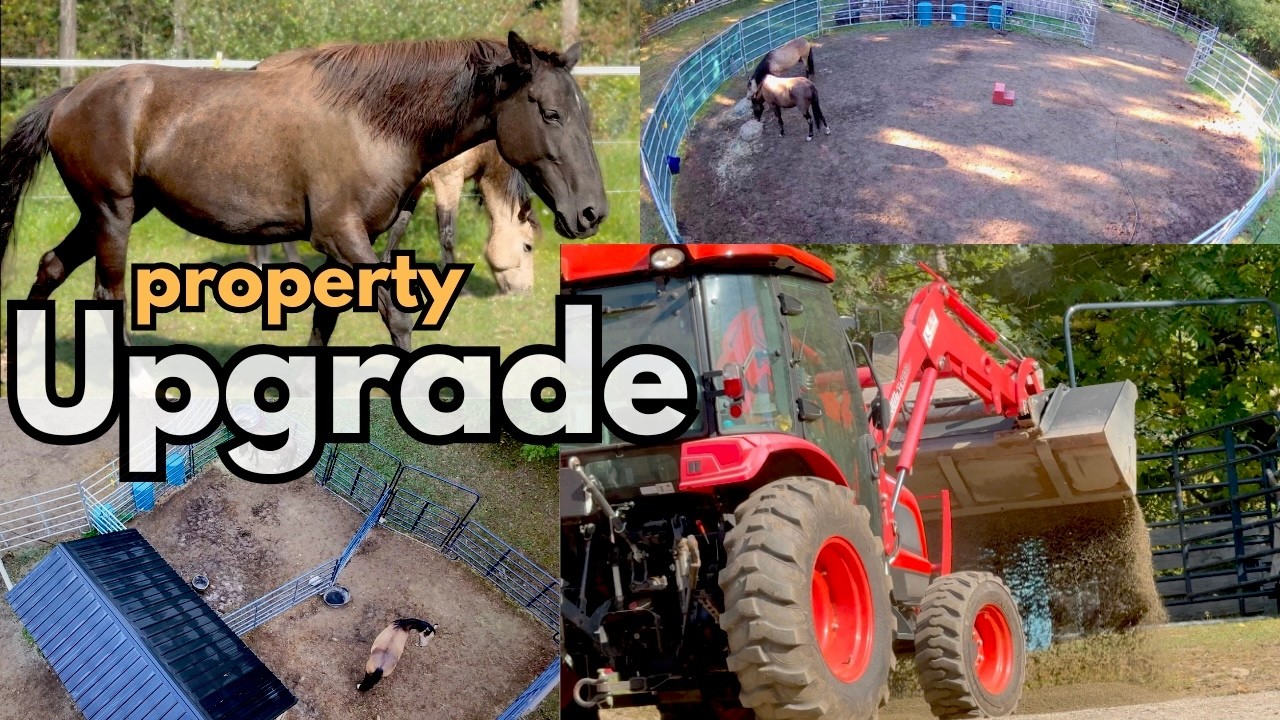 Developing a 2 Acre Horse Property!