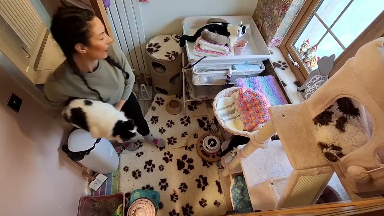 Feeding time at the sanctuary 🥰 