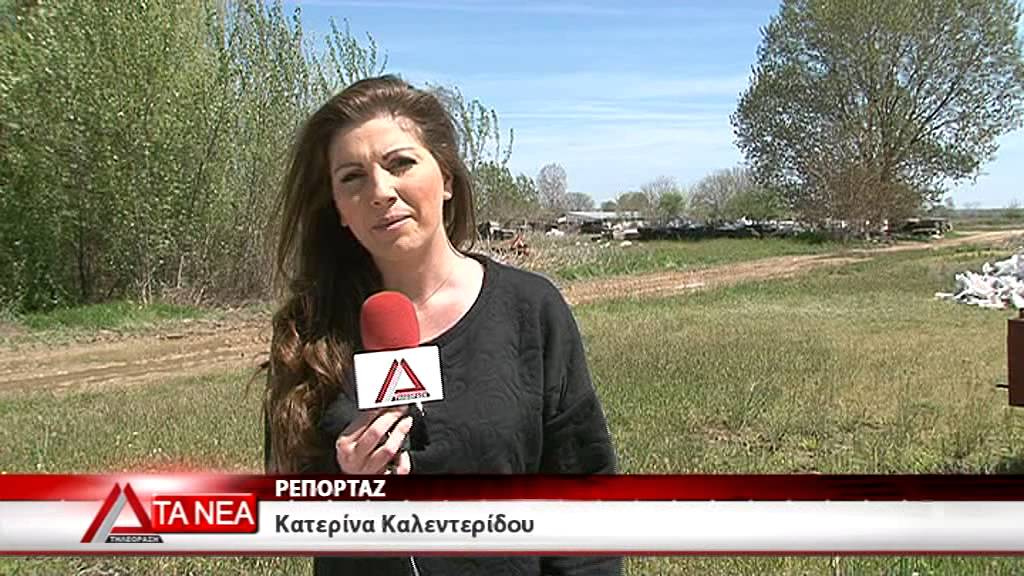 &Beta;&Alpha;&Tau;&Rho;&Alpha;&Chi;&Iota;&Alpha; &Kappa;&Alpha;&Iota; &Kappa;&Omicron;&Upsilon;&Nu;&Omicron;&Upsilon;&Pi;&Iota;&Alpha; &Sigma;&Tau;&Eta;&Nu; &Beta;&Upsilon;&Sigma;&Sigma;&Alpha; &Omicron;&Rho;&Epsilon;&Sigma;&Tau;&Iota;&Alpha;&Delta;&Alpha;&Sigma;