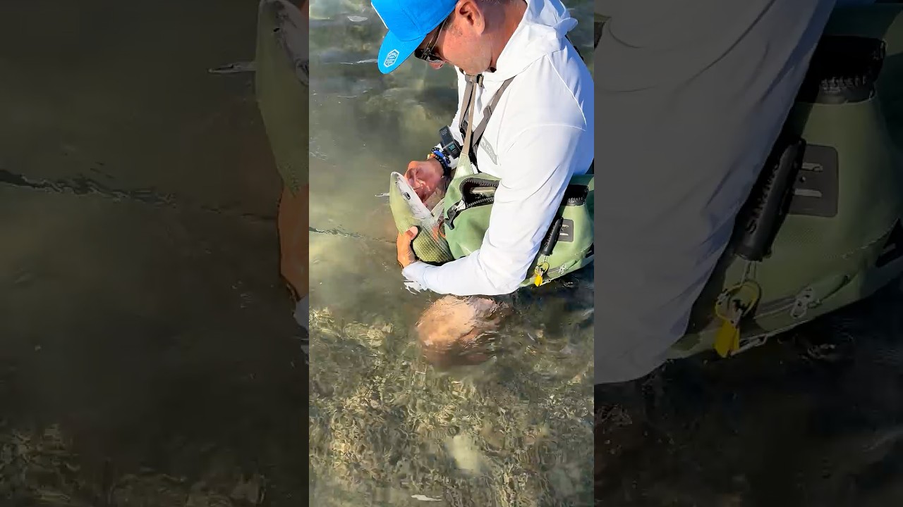 Catching Bonefish in Hawaii with the best flies 
