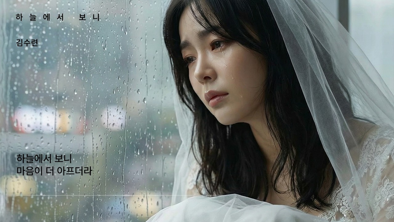 김수련 - 하늘에서  보니