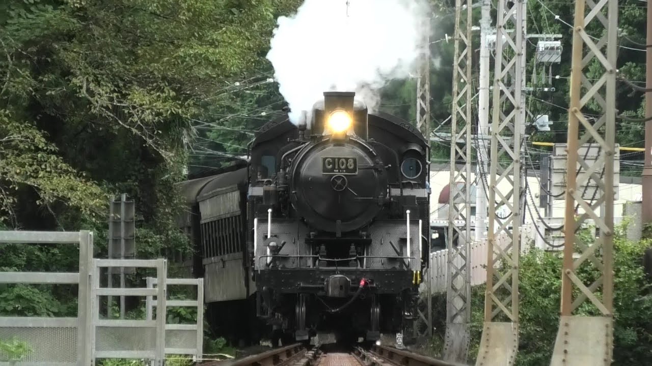 【黒いSL】大井川鐡道 C10 8 急行 かわね路 他