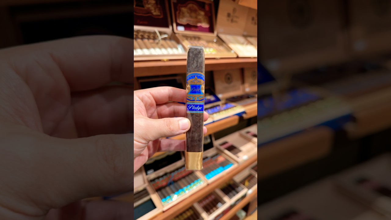 Casa Carrillo Pledge Sojour!!