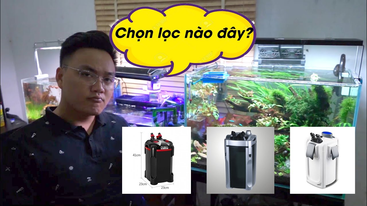 Review lọc Sunsun, Atman, FKSC đâu sẽ là lọc thùng bạn chọn? - Thủy Sinh 4U