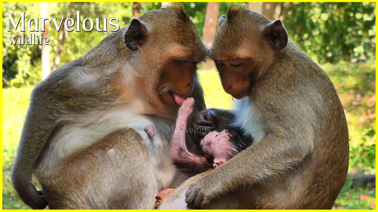 Deeply meaning...! Sweet young mom Jazzy & Auntie Jonna give accuracy of preference to cute Jiva