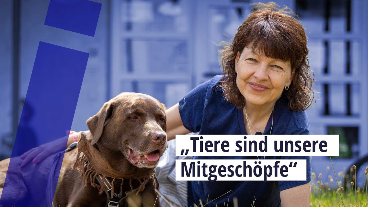 Hund in der Kita: Wie Labrador Samu Kindern hilft, Vertrauen zu Tieren aufzubauen