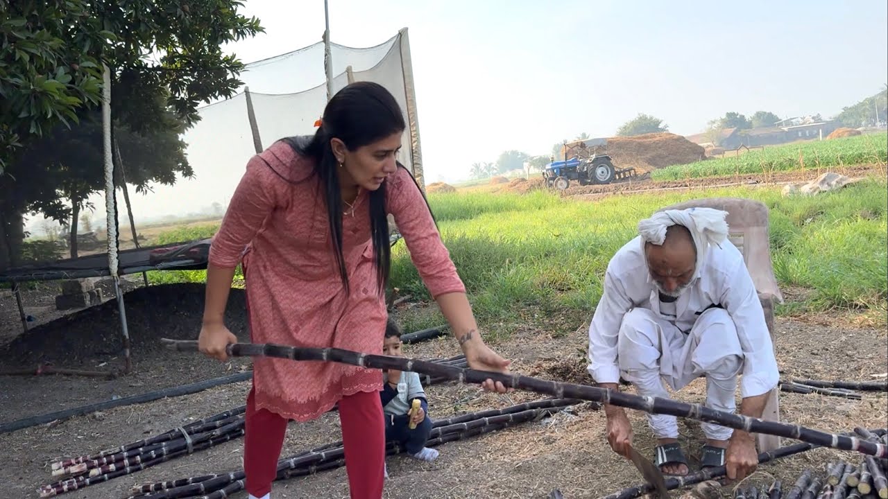 Sugarcane khet me lagana hai papa ko ajj shiv ke liye