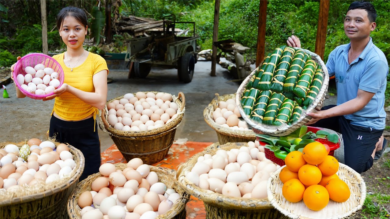 TIMELAPSE: START TO FINISH - welcome the new year 2024 with family, Build a farm