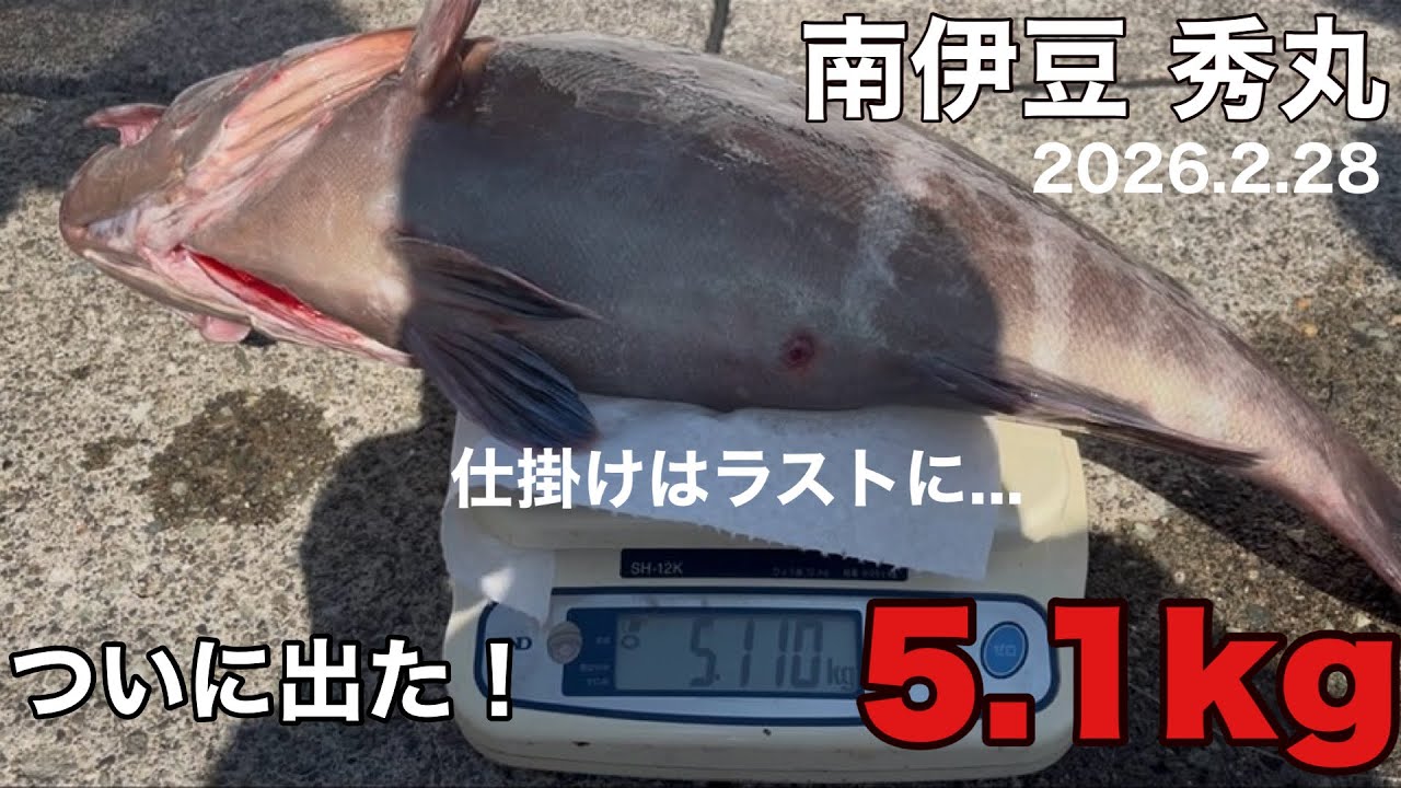 【小林さんが行く！第59話】マハタ！ついに仕留めた！5キロオーバー！！