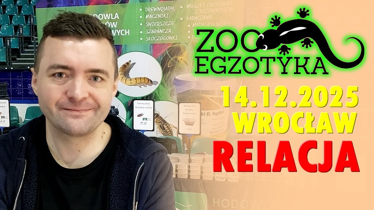 RELACJA Zooegzotyka Wrocław 14.12.2025