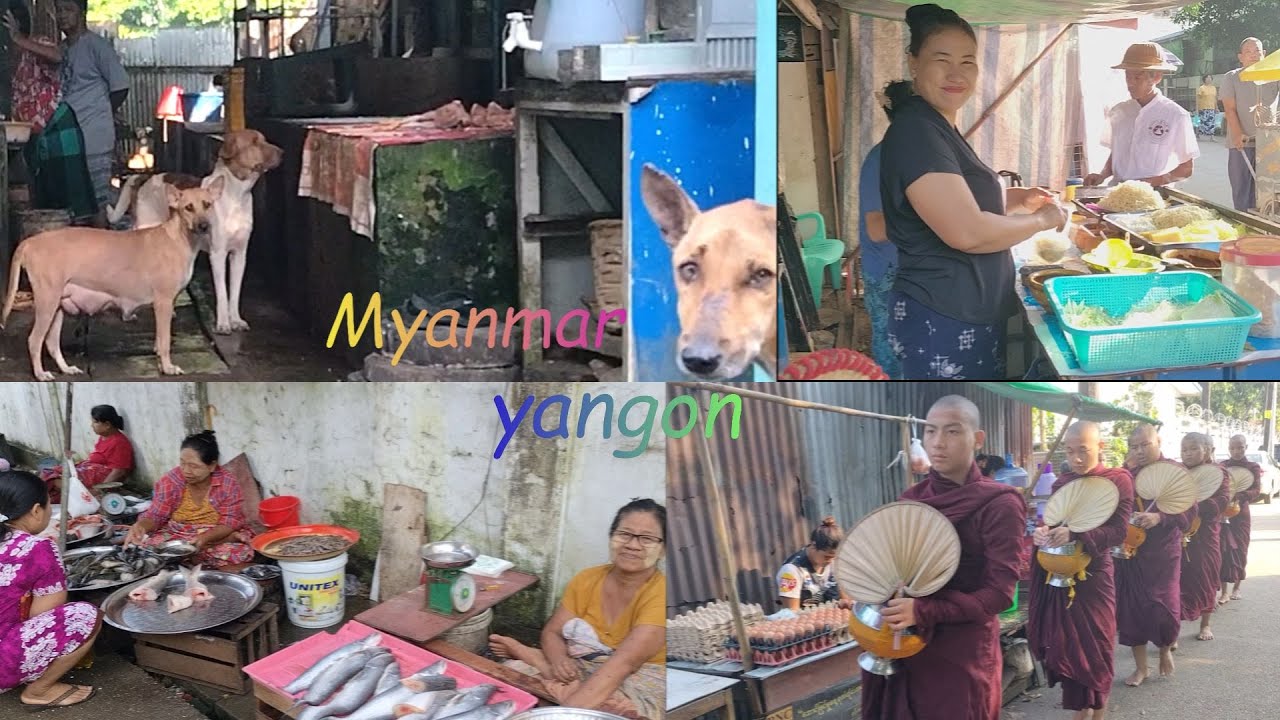 Daily life   around  Inya Lake