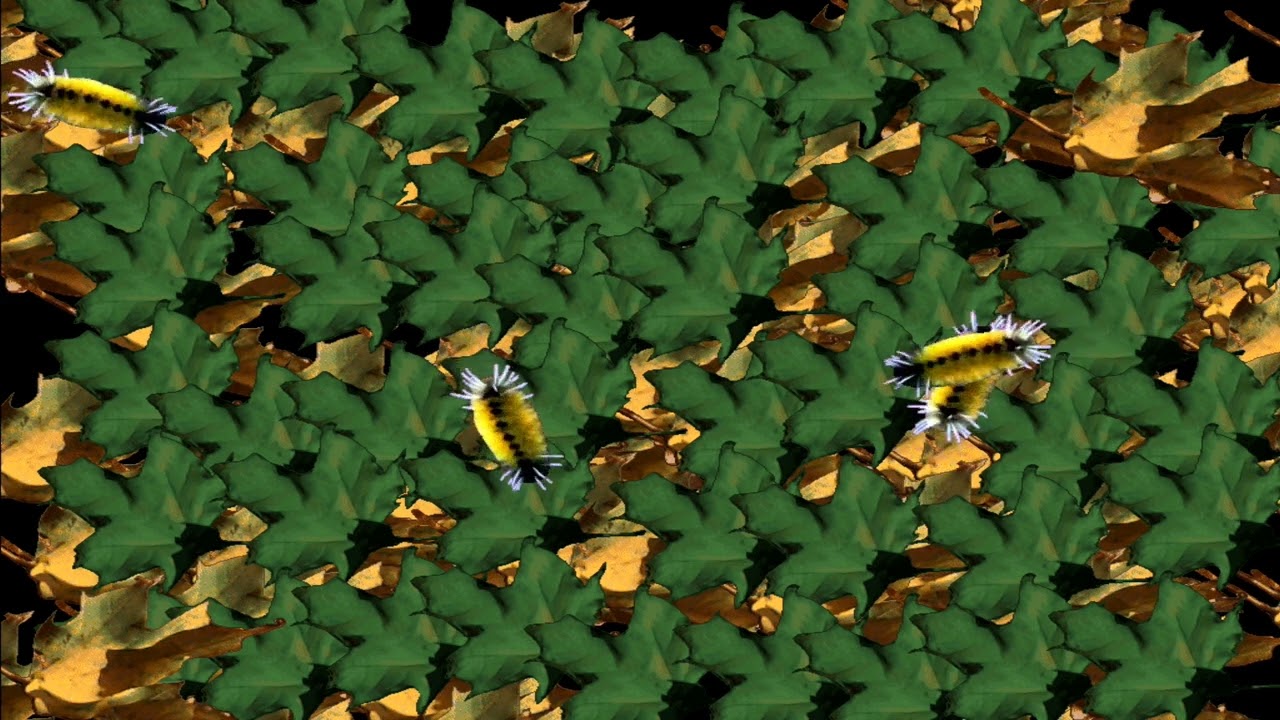 Windows 98 Nature Screensaver (2 Hours)