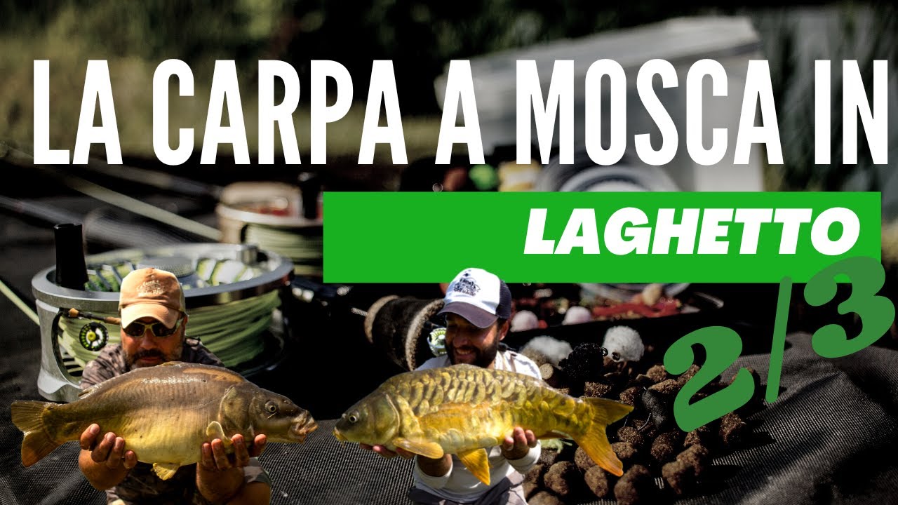 La carpa a mosca in laghetto - parte 2/3 -