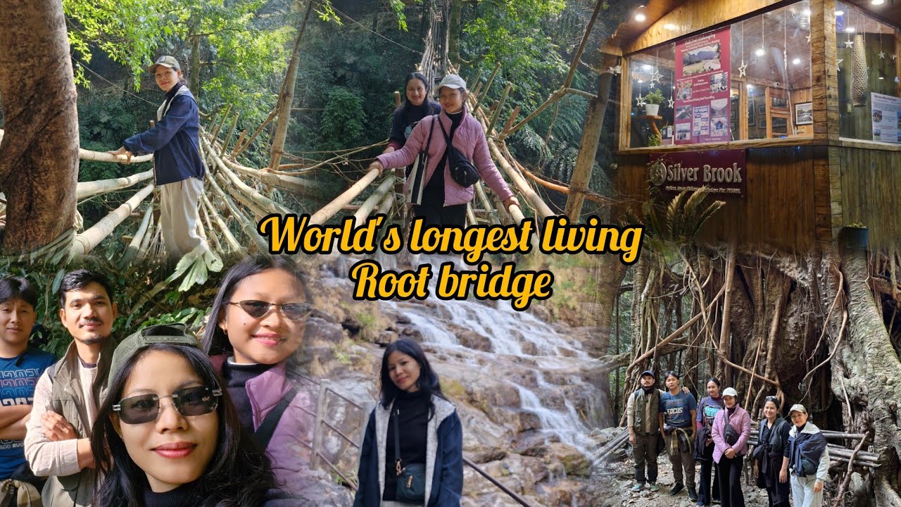 Shillong trip //  The world's longest living Root bridge(Rangthylliang)// trekking Day-1✅️ 