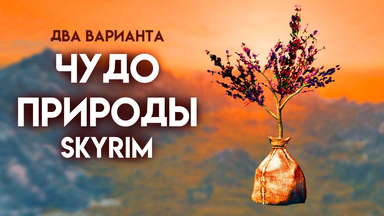 Skyrim | Два варианта прохождения Чудо природы + уникальный кинжал Крапивник! Секреты Скайрима #102