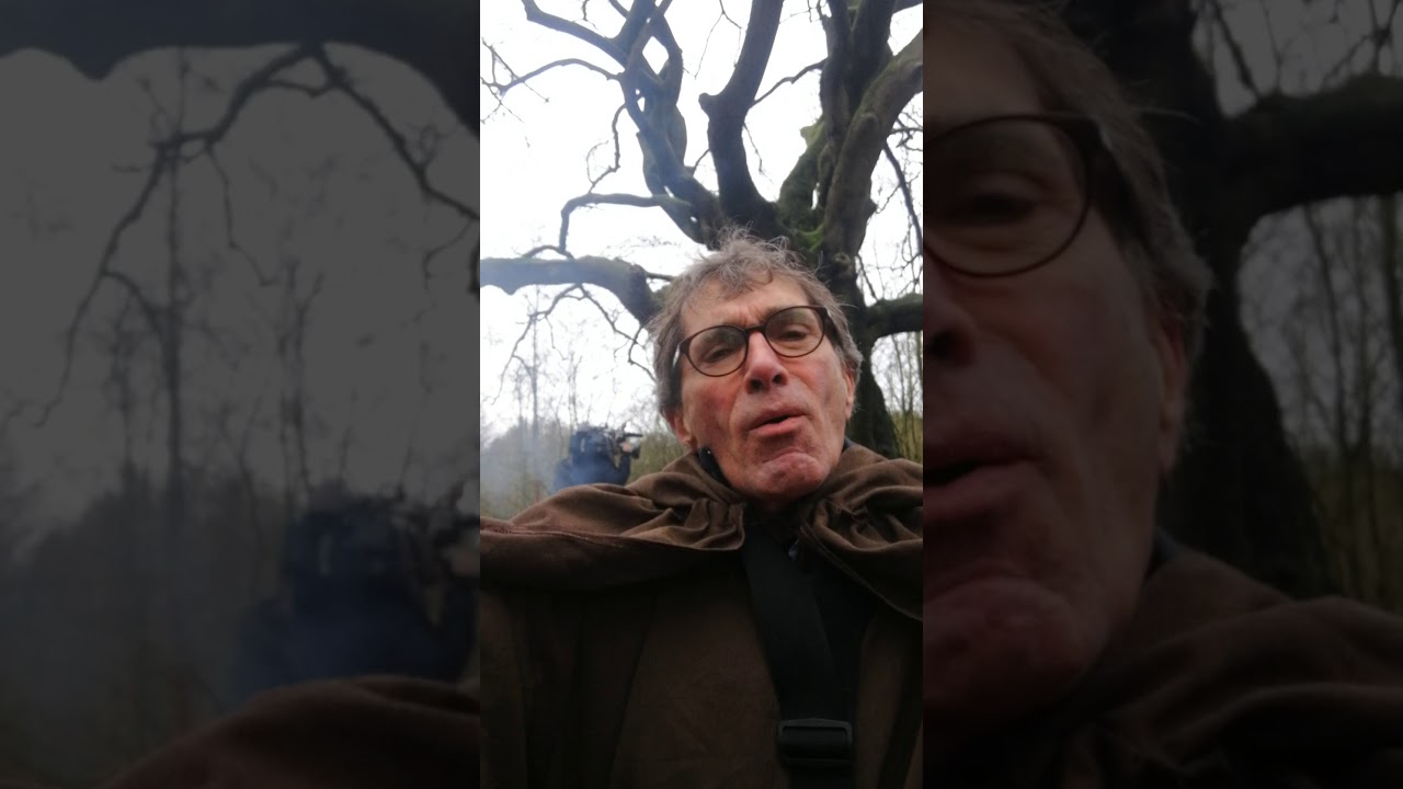 Netherlands, Bladel -  Wild Rover song at the Witch Tree
