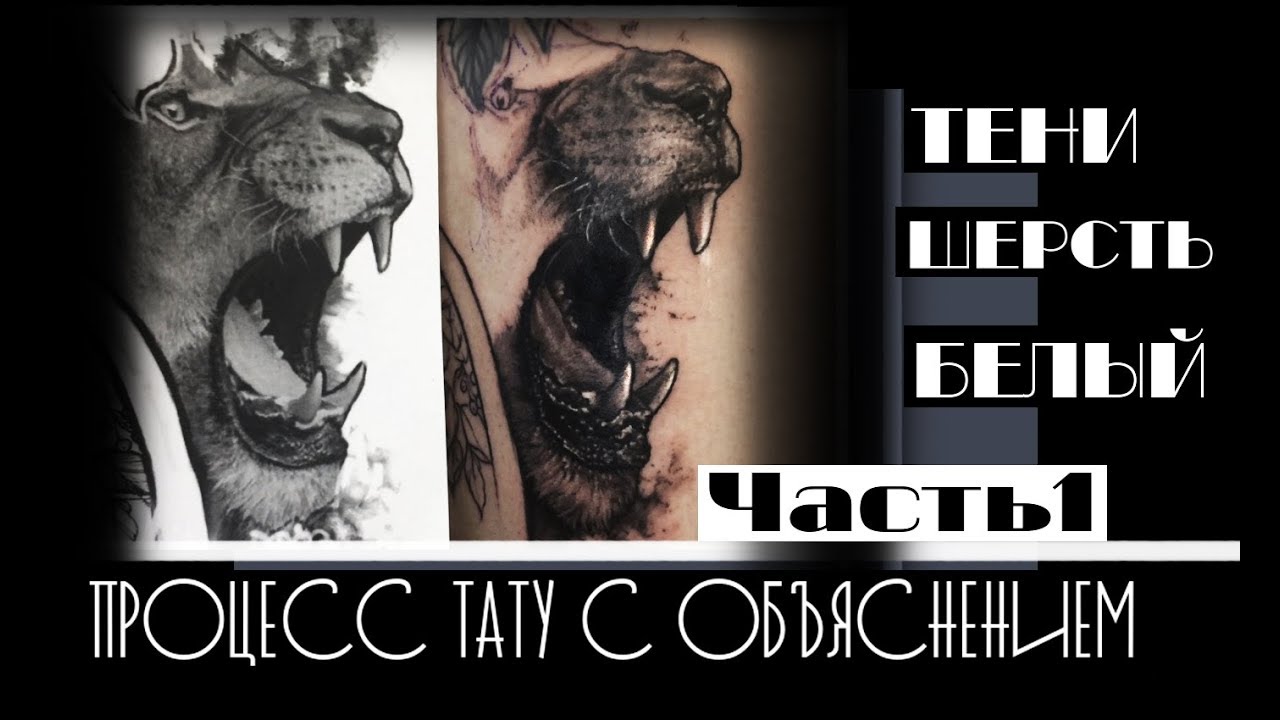 Процесс тату льва с объяснением. Тени, шерсть, белый