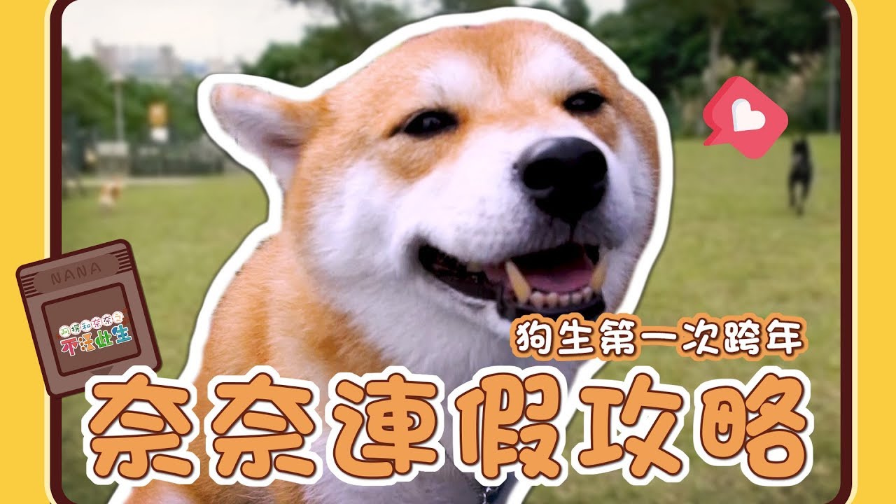 【阿楞奈奈不汪此生#1】奈奈的連假攻略?!狗生第一次跨年?!