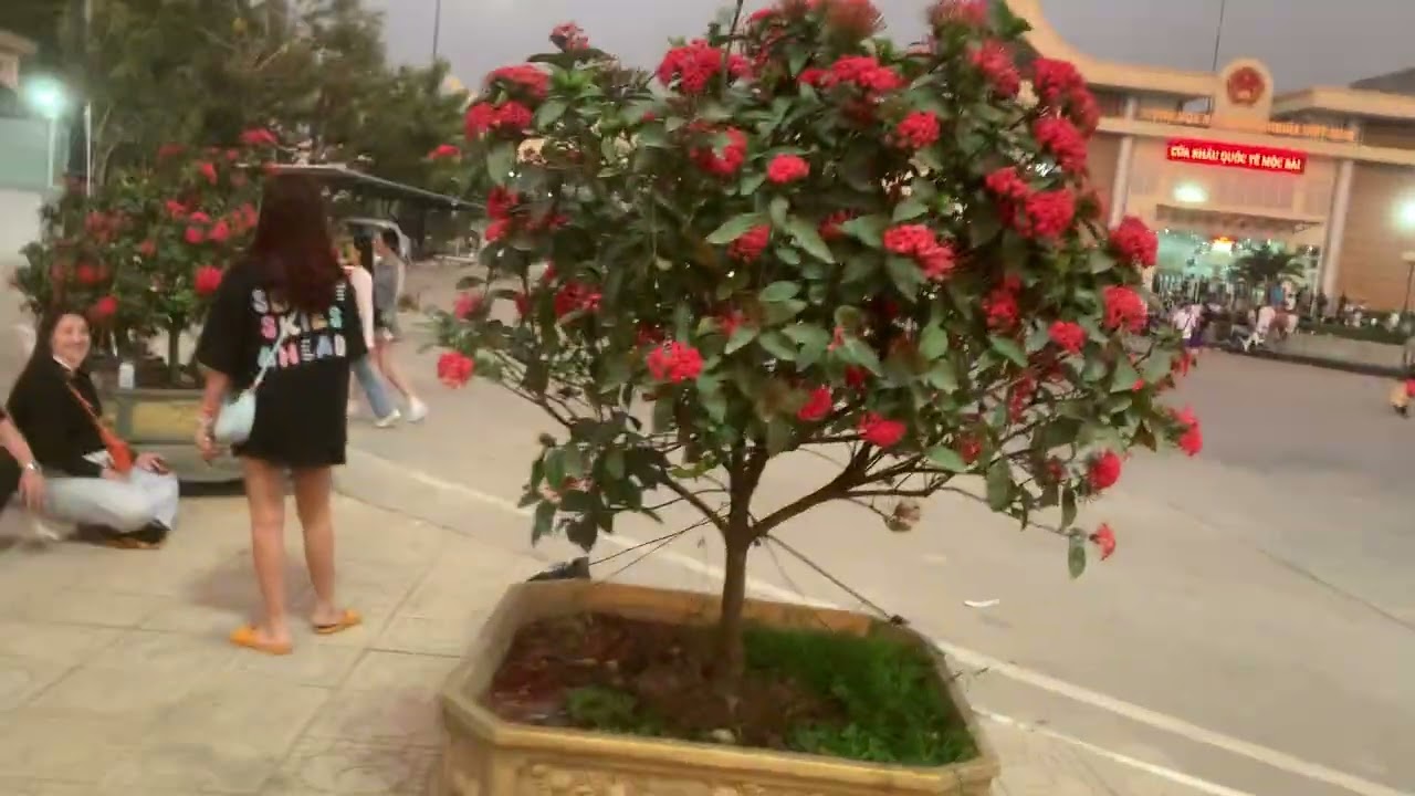 Đoàn dự hai lúa mới anh đến với siêu thị miễn thuế mộc bài mới khai trương